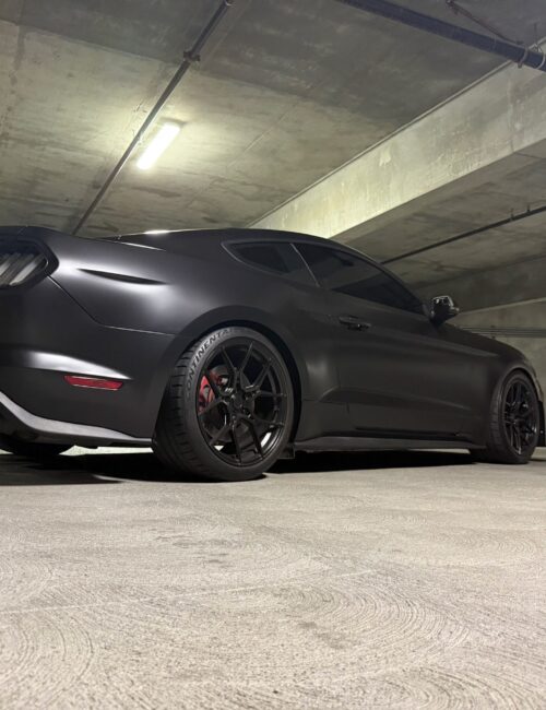 Black Black