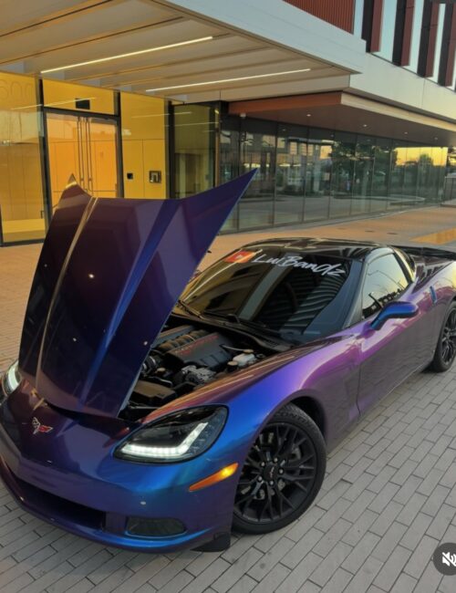 c6 vet c6 vet